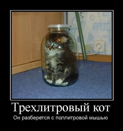 С Новым 2012 Годом !