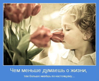 С Новым 2012 Годом !
