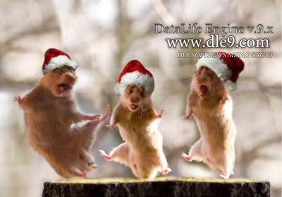 С Новым 2012 Годом !