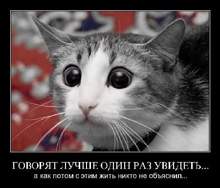 С Новым 2012 Годом !