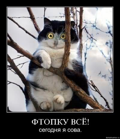 С Новым 2012 Годом !