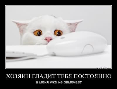 С Новым 2012 Годом !