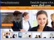 Шаблон для DLE BizInformative