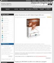 Шаблон DLE TopScripts под блог