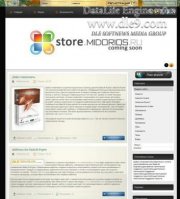 Midorios DLE шаблон Windows 8