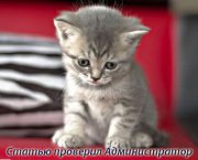 Хак Dle Approver