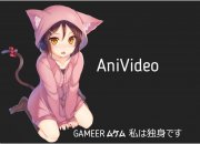 AniVideo DLE