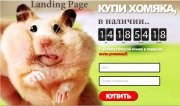 Лендинг