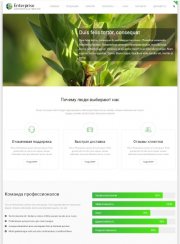 Шаблон Enterprise для DLE 12.1