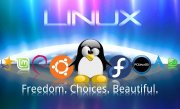 Создания сайта под управлением ОС Linux