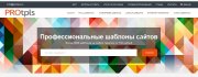 Качественные и инновационные шаблоны сайтов PROtpls